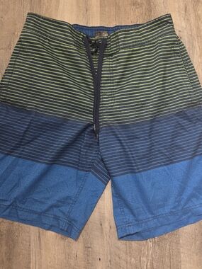 Men's Blue and Green Stripe Swim Trunks with Drawstring Waist Firefly